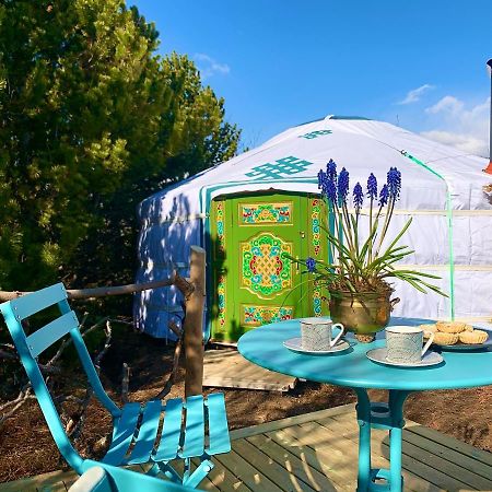 Valhalla Yurts Odin Selfoss Zewnętrze zdjęcie
