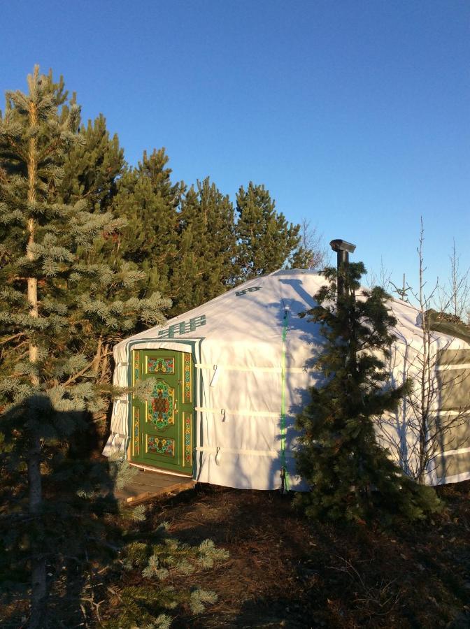 Valhalla Yurts Odin Selfoss Zewnętrze zdjęcie