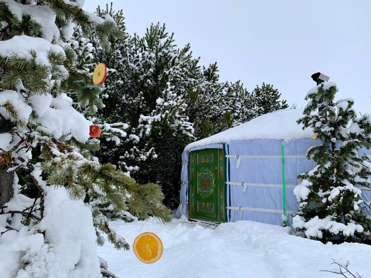 Valhalla Yurts Odin Selfoss Zewnętrze zdjęcie