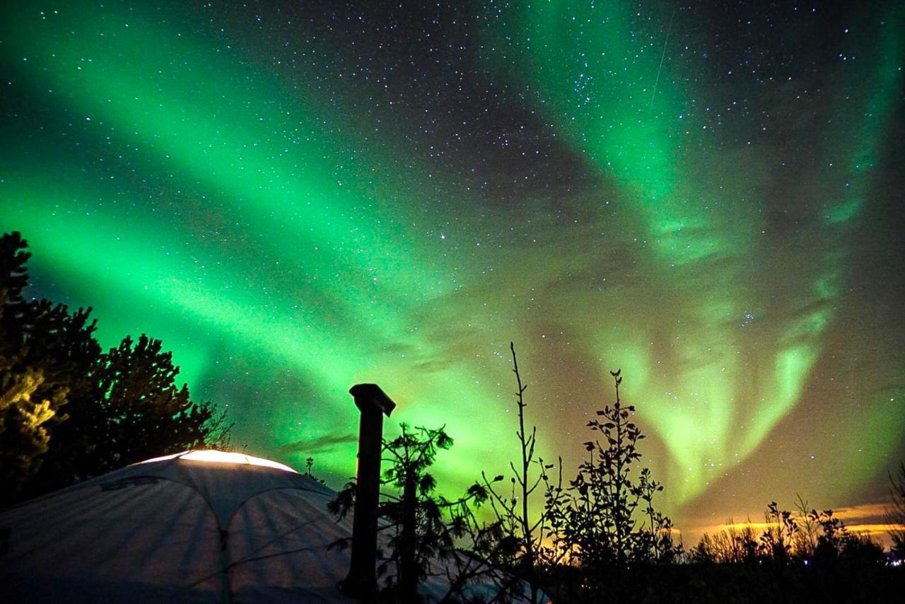 Valhalla Yurts Odin Selfoss Zewnętrze zdjęcie